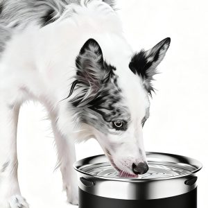 Gardner Pet Dog Bowls 3.85L,Stainless Steel Non Spill Dog Water Bowl,Slow Water Feeder,Metal Large Pet Water Bowls,Anti-Splash Water Dispenser for Large Dogs,Black