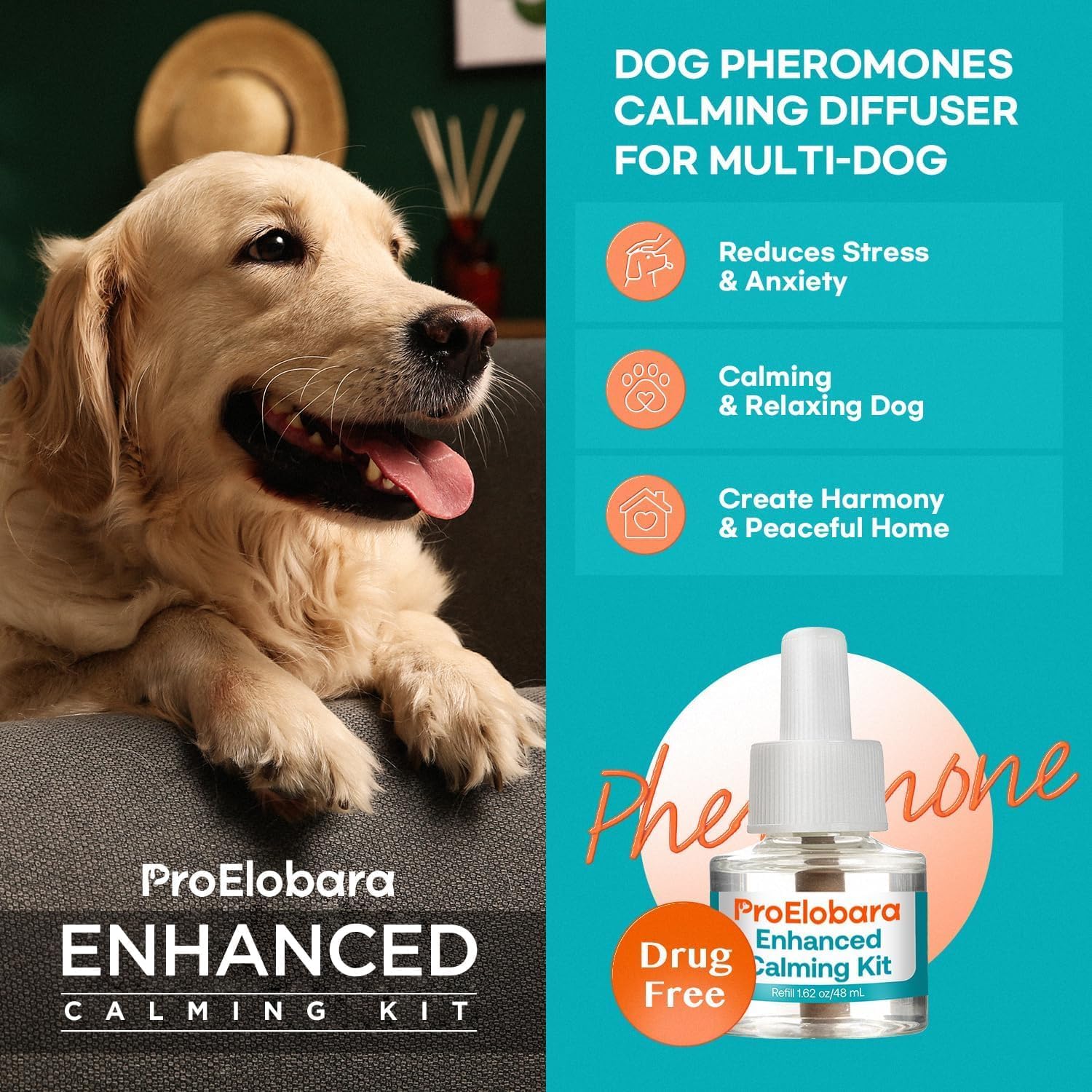 Dog Calming Anxiety Relief Diffuser: Comfort Dog Pheromone Calming Plug Diffuser - Effective Anxiety Relief for Dogs - 62 Day Supply - Image 3
