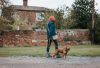 Pet Rebellion Dog Walking Bag Review – The Ultimate Hands-Free Solution for Fun Dog Walks – woofwagwalk.co.uk